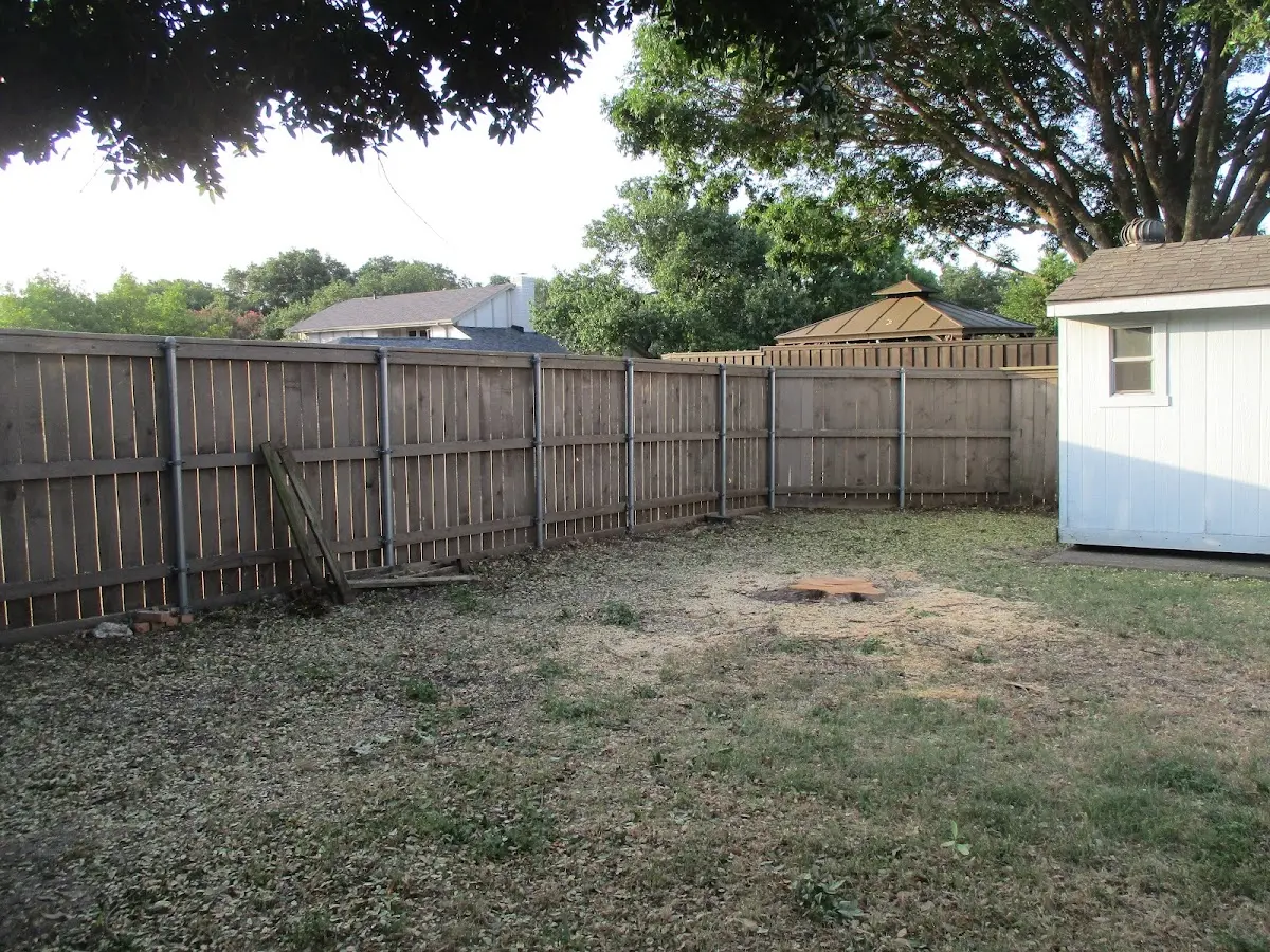 Cleared yard after professional tree removal in Lonsdale