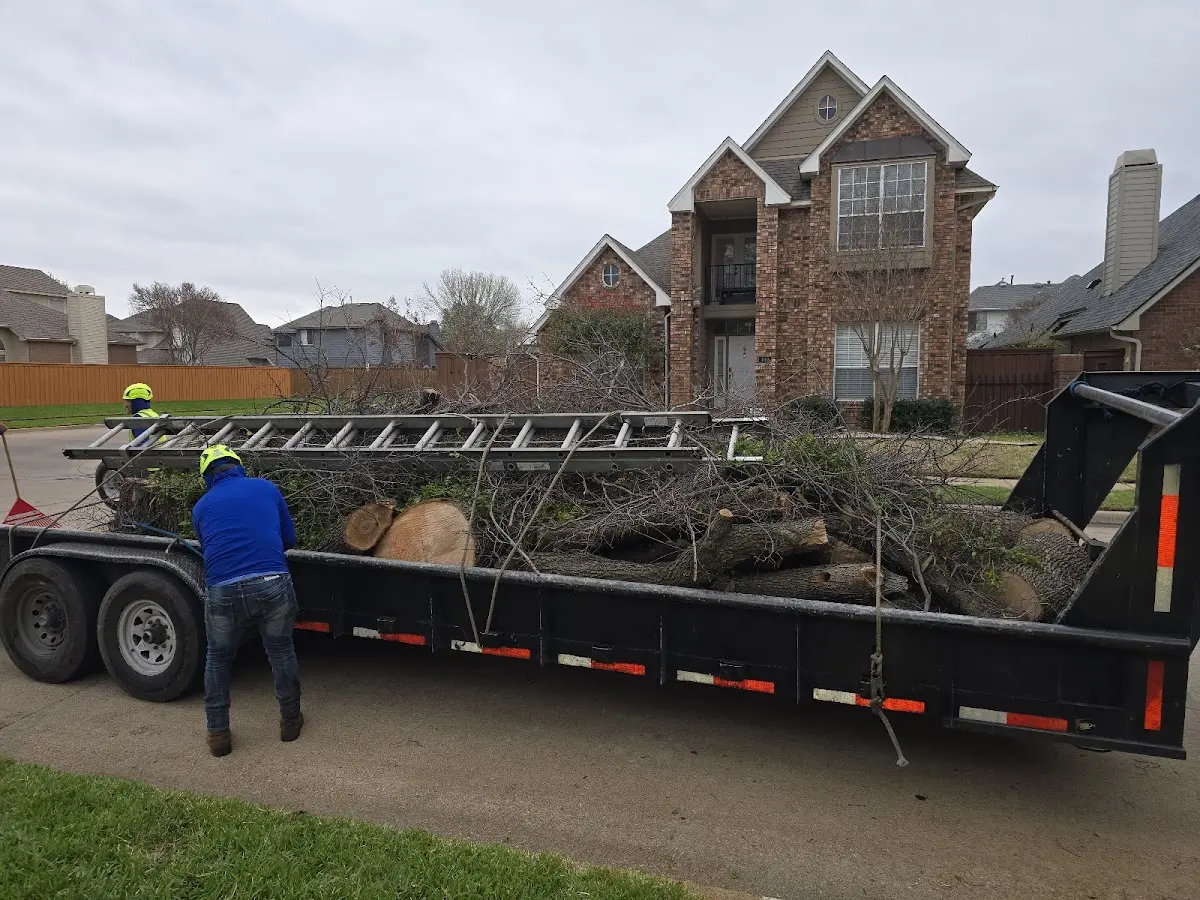 Expert Tree Removal with proper safety equipment in Lonsdale